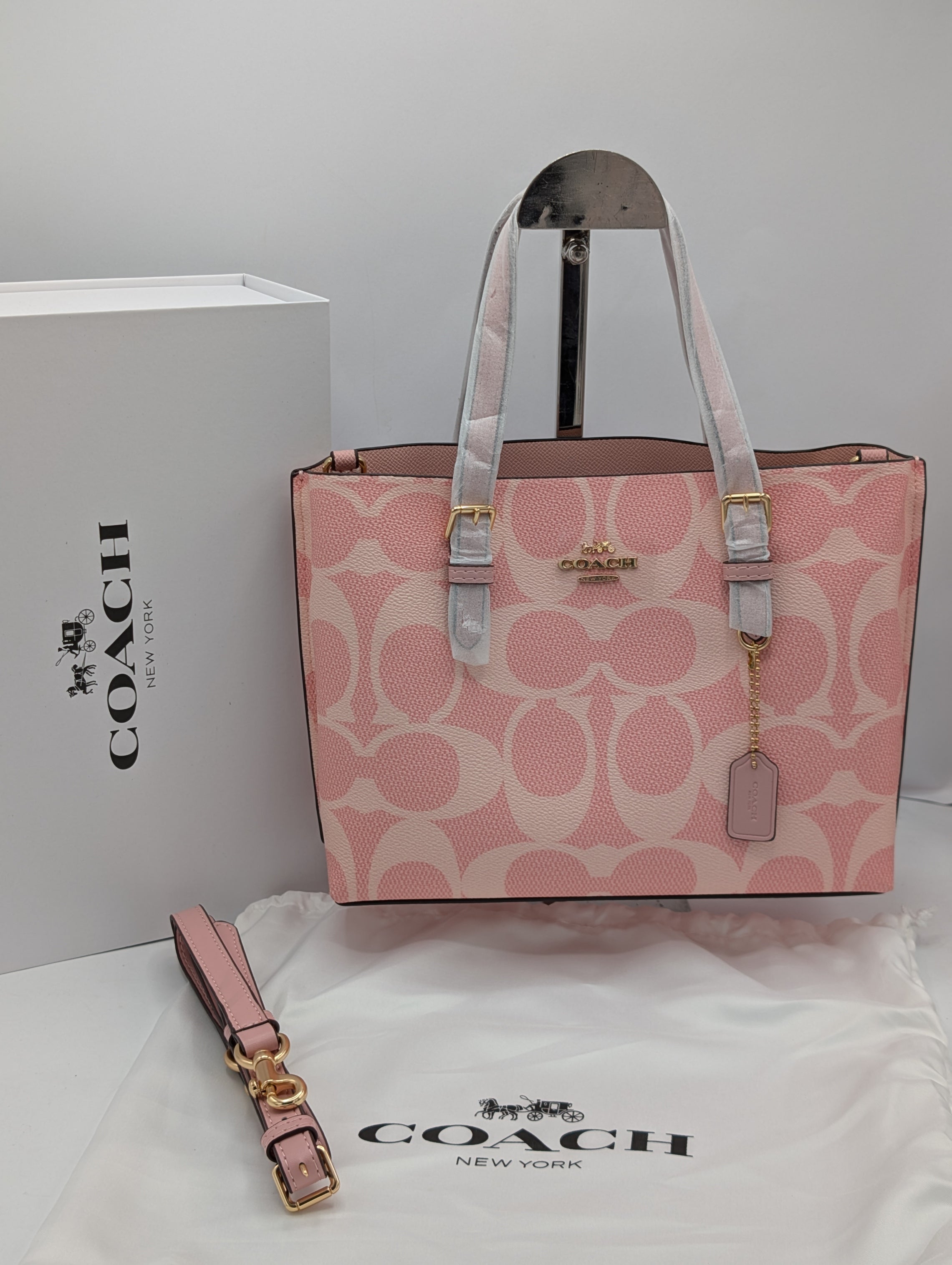 Coach Signature Canvas Tote Bag