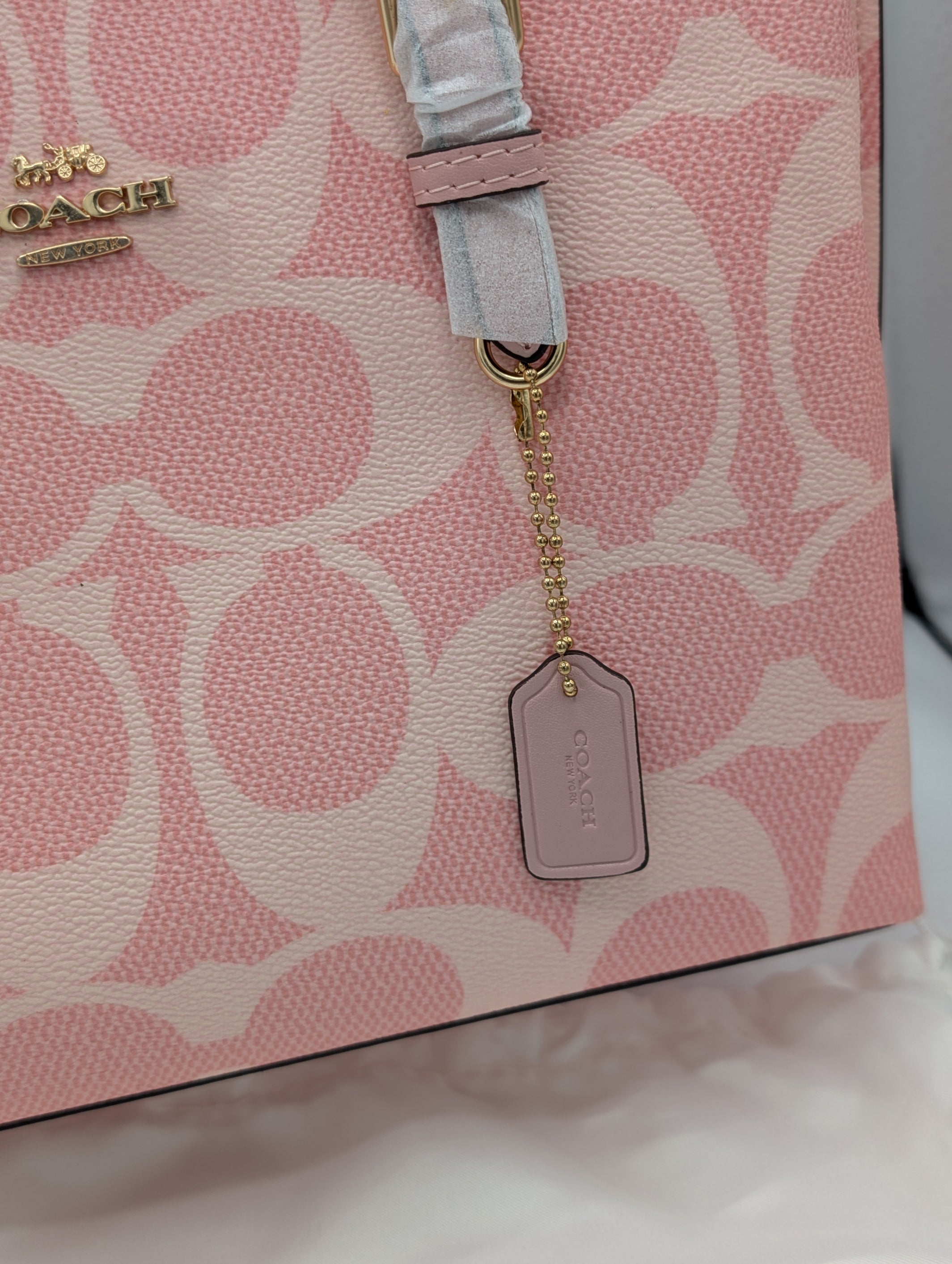 Coach Signature Canvas Tote Bag