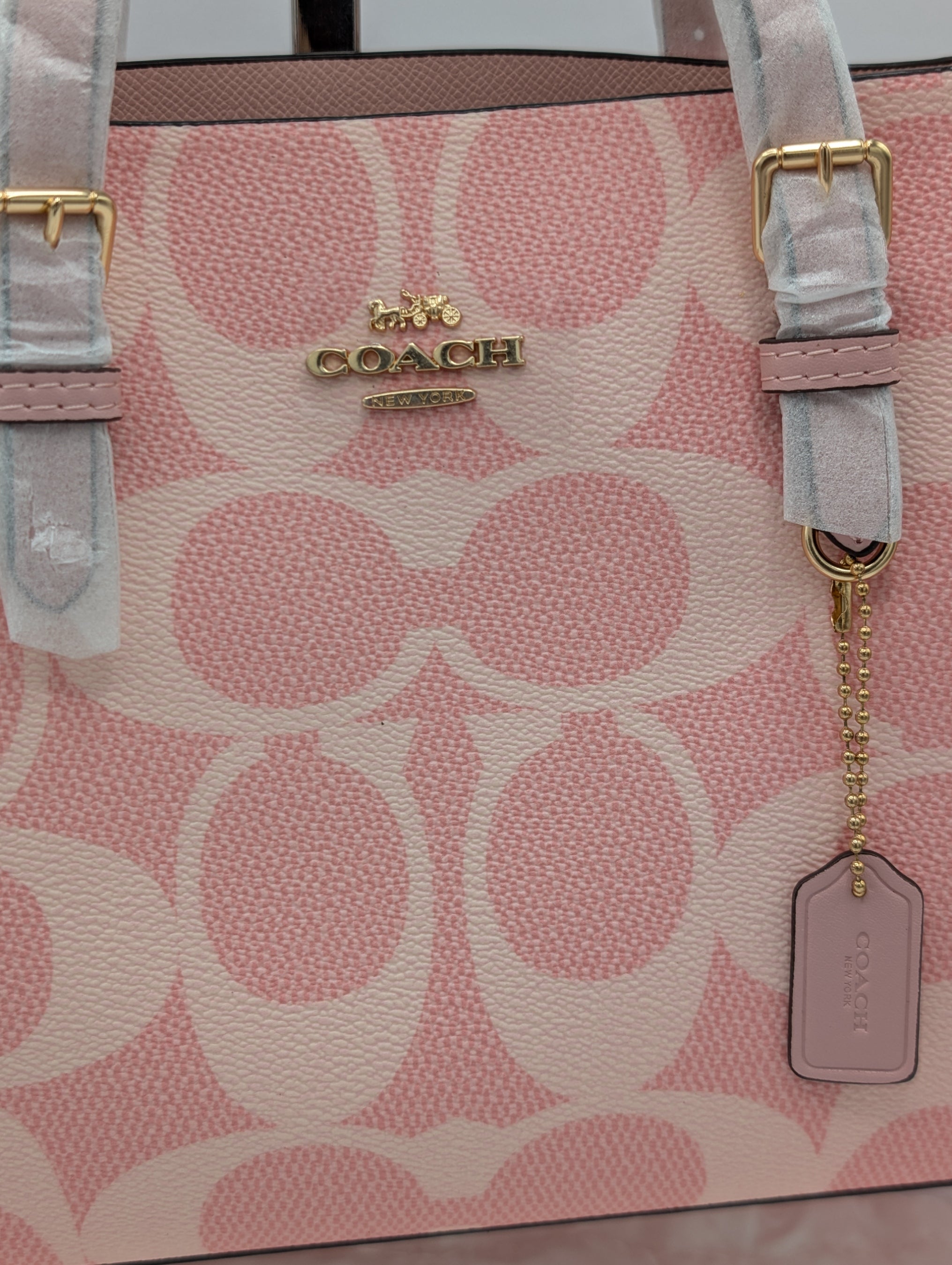Coach Signature Canvas Tote Bag