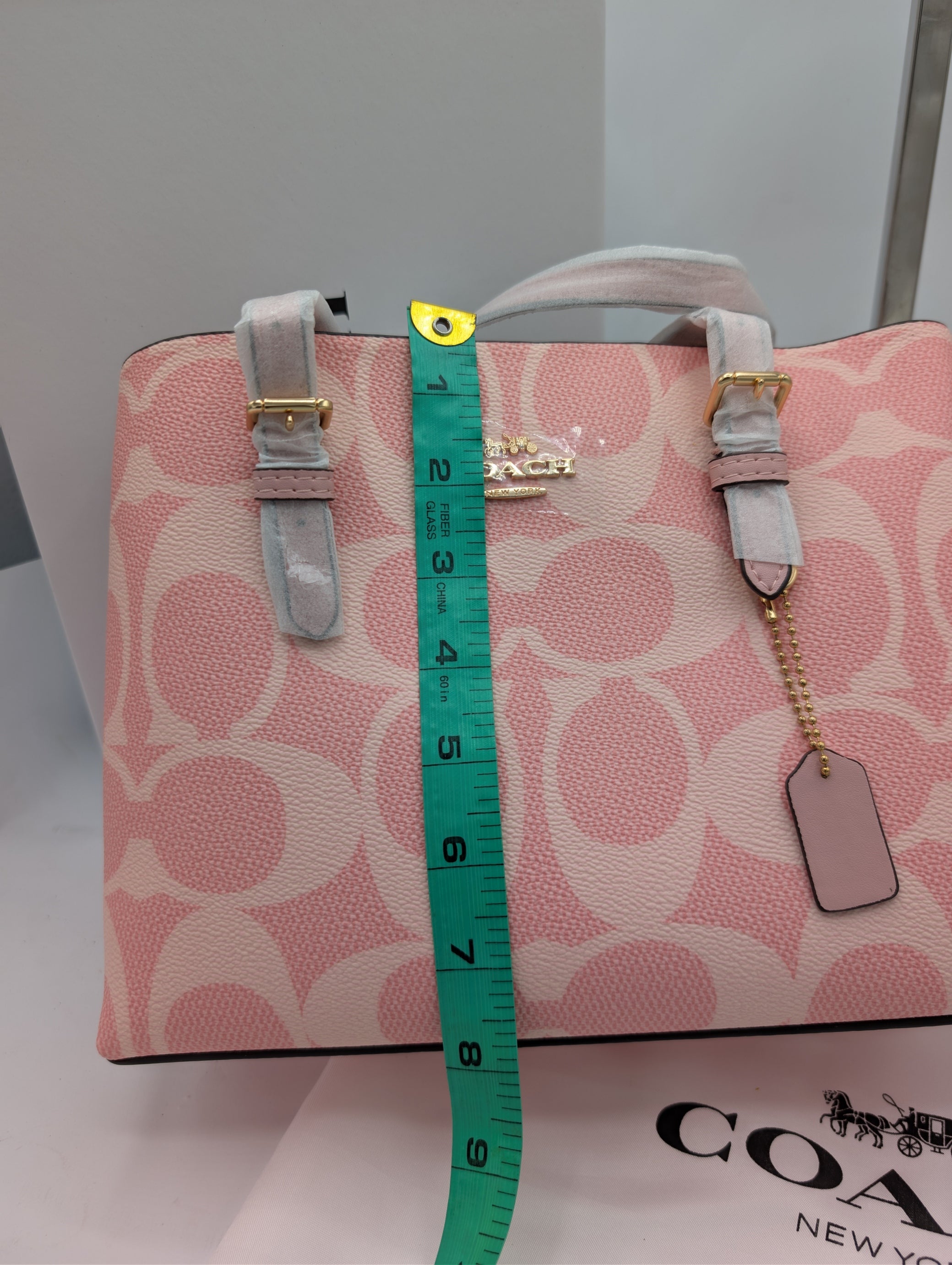 Coach Signature Canvas Tote Bag